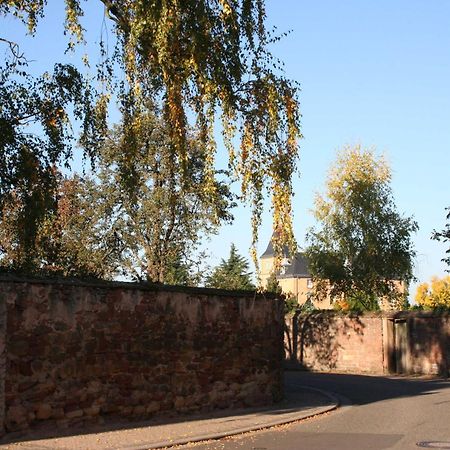 Ferienwohnung Spatzennest In Edesheim Bagian luar foto