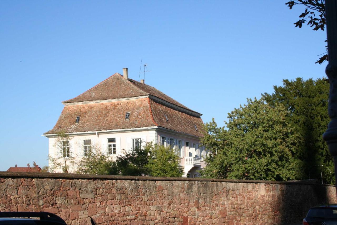 Ferienwohnung Spatzennest In Edesheim Bagian luar foto